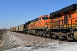 BNSF 5859 Roster shot